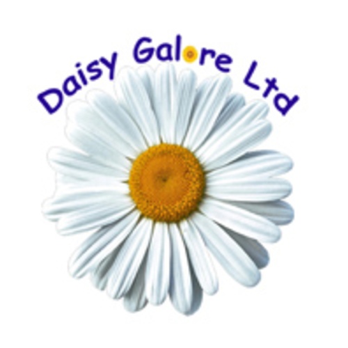 Daisy Galore Ltd